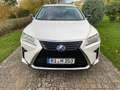 Lexus RX 450h RX (hybrid) Sport Line White - thumbnail 4