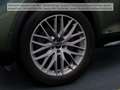 Audi Q5 50 TFSI e quattro S tronic advanced MatrixLED Grün - thumbnail 9