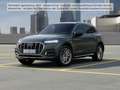 Audi Q5 50 TFSI e quattro S tronic advanced MatrixLED Grün - thumbnail 1