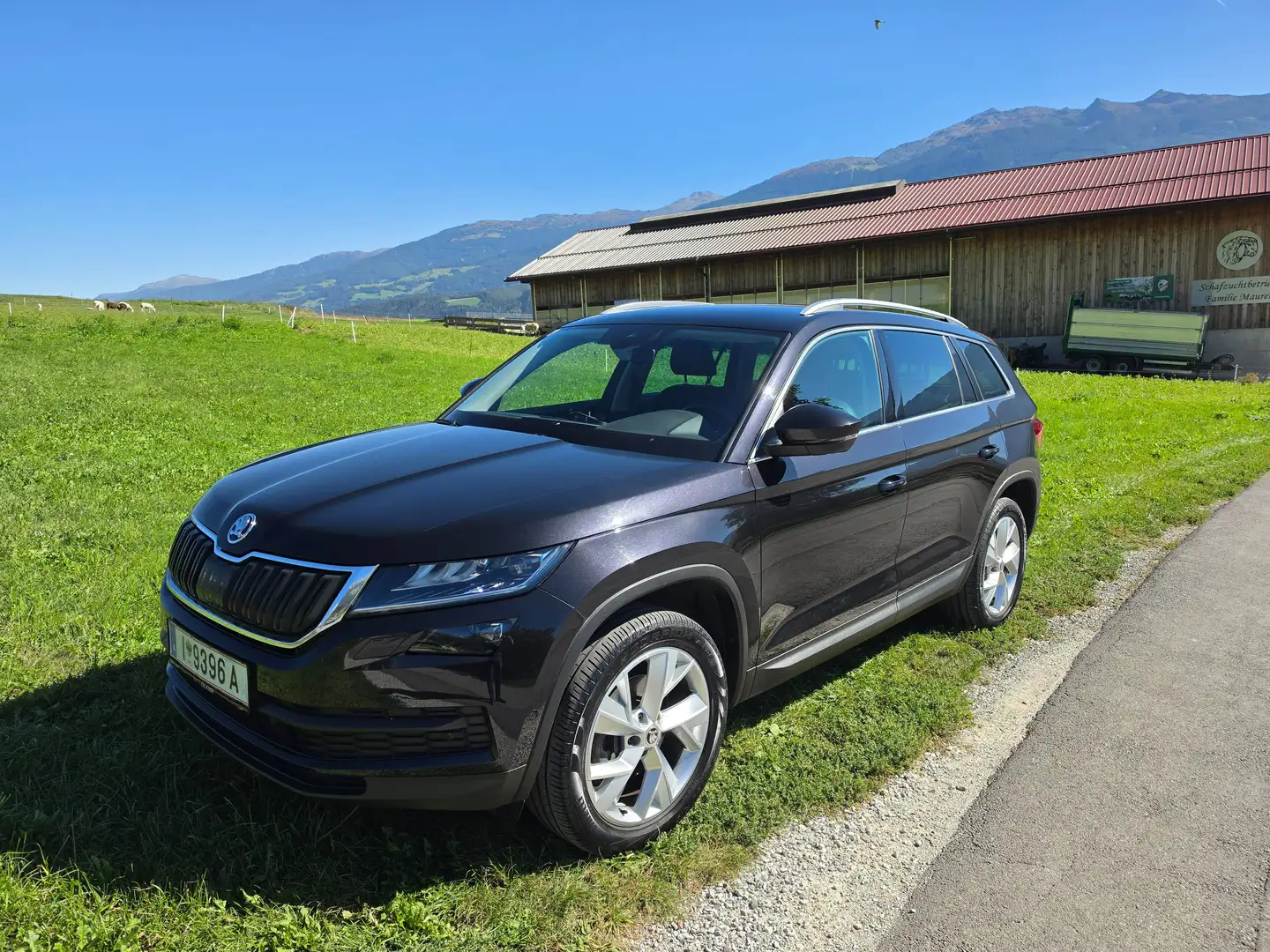Skoda Kodiaq Kodiaq 2,0 TDI SCR 4x4 Style DSG Style Schwarz - 2