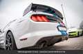 Ford Mustang Pack Shelby GPL Tout compris hors homologation 4500e Weiß - thumbnail 13