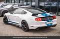 Ford Mustang Pack Shelby GPL Tout compris hors homologation 4500e Weiß - thumbnail 39