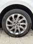SEAT Leon SC 1.4 TSI Start&Stop I-Tech - thumbnail 15
