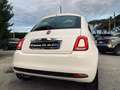 Fiat 500 Lounge **POSS.PACK MEDIA**VED.NOTE Bianco - thumbnail 4