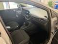 Ford Puma 1.0 EcoBoost 125 CV S&S aut. Titanium Grau - thumbnail 19