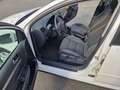 Volkswagen Golf Sportline 1,9 TDI Weiß - thumbnail 7