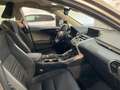 Lexus NX 300 NX I 300h 2.5 Business 4wd cvt IN ARRIVO Szary - thumbnail 8