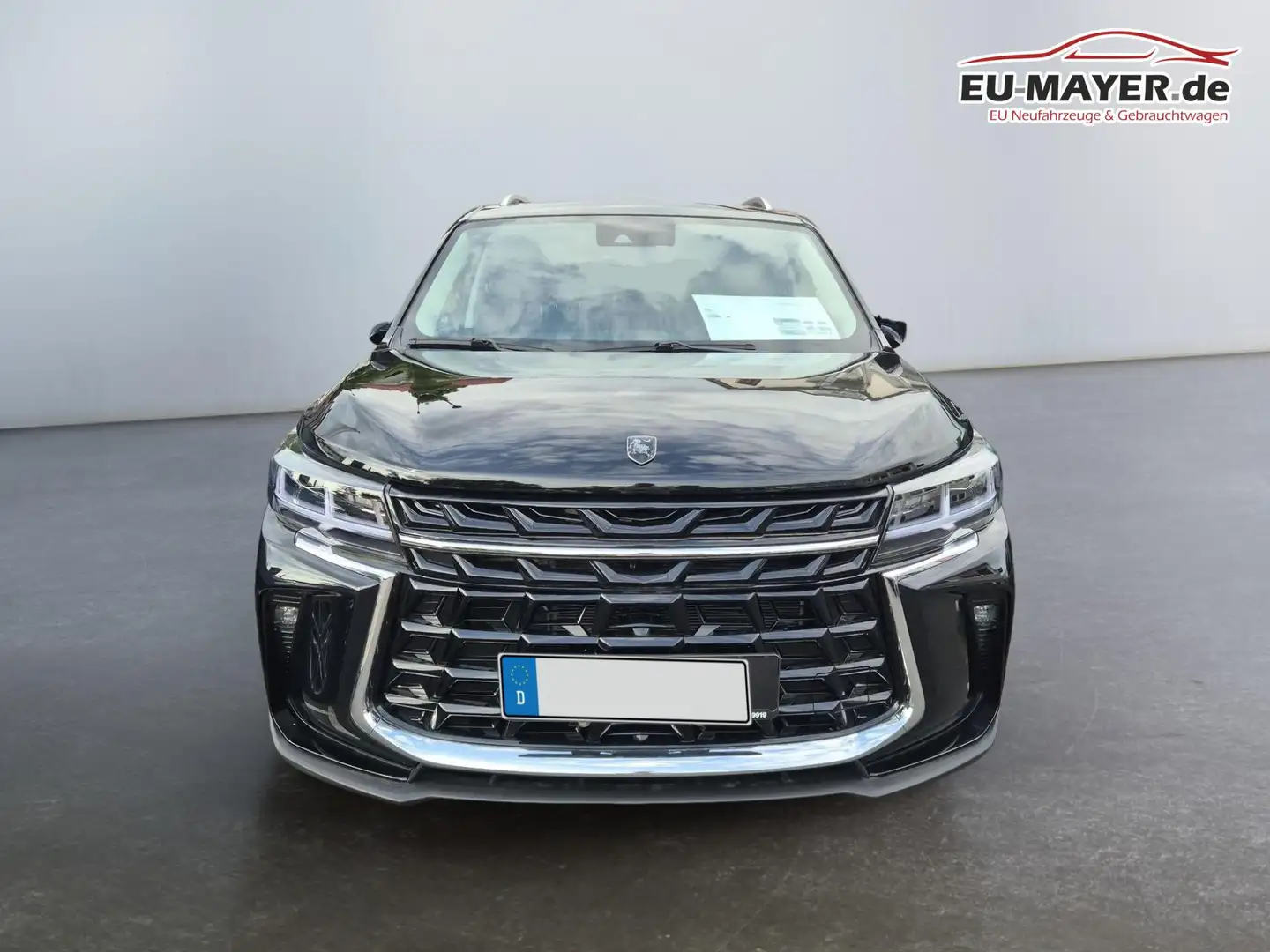 Forthing Sonstige 1.5 120kW DCT / sofort verfügbar 1,5L Turbo Ben... Schwarz - 2