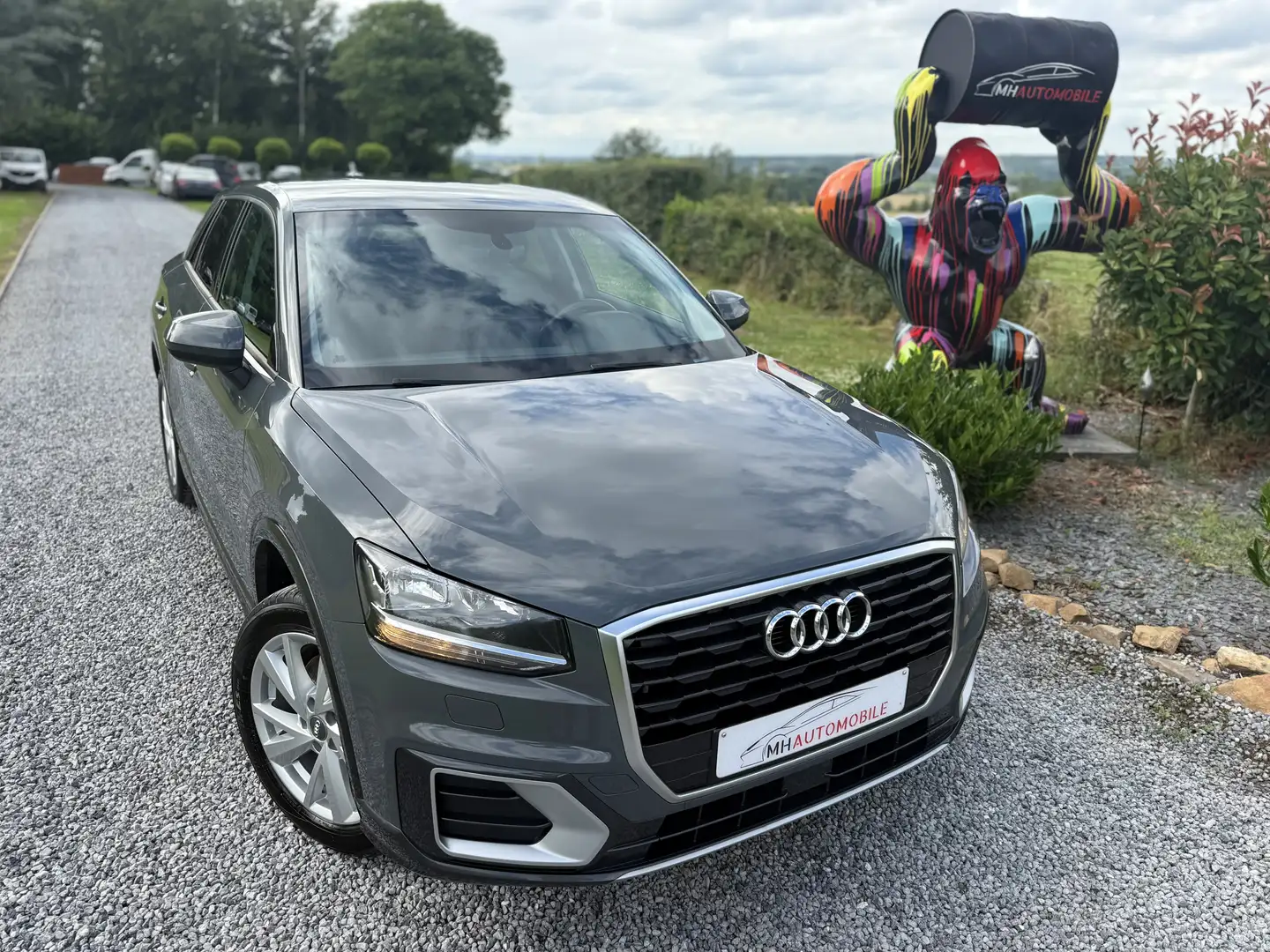 Audi Q2 1.0 TFSI Gris - 1