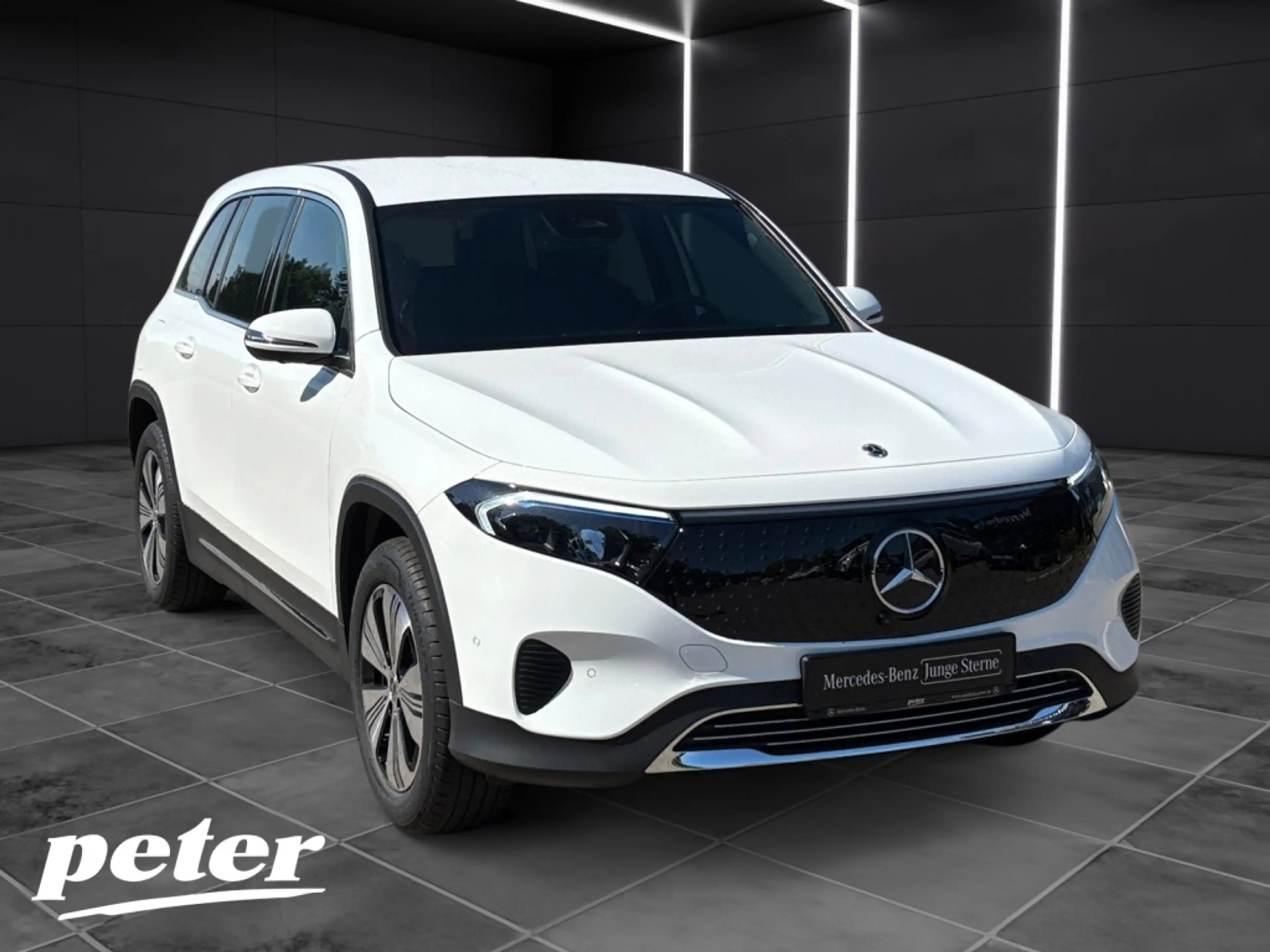 Mercedes-Benz EQB 250 + Progressive*Fahrassistenzpaket — photo 4
