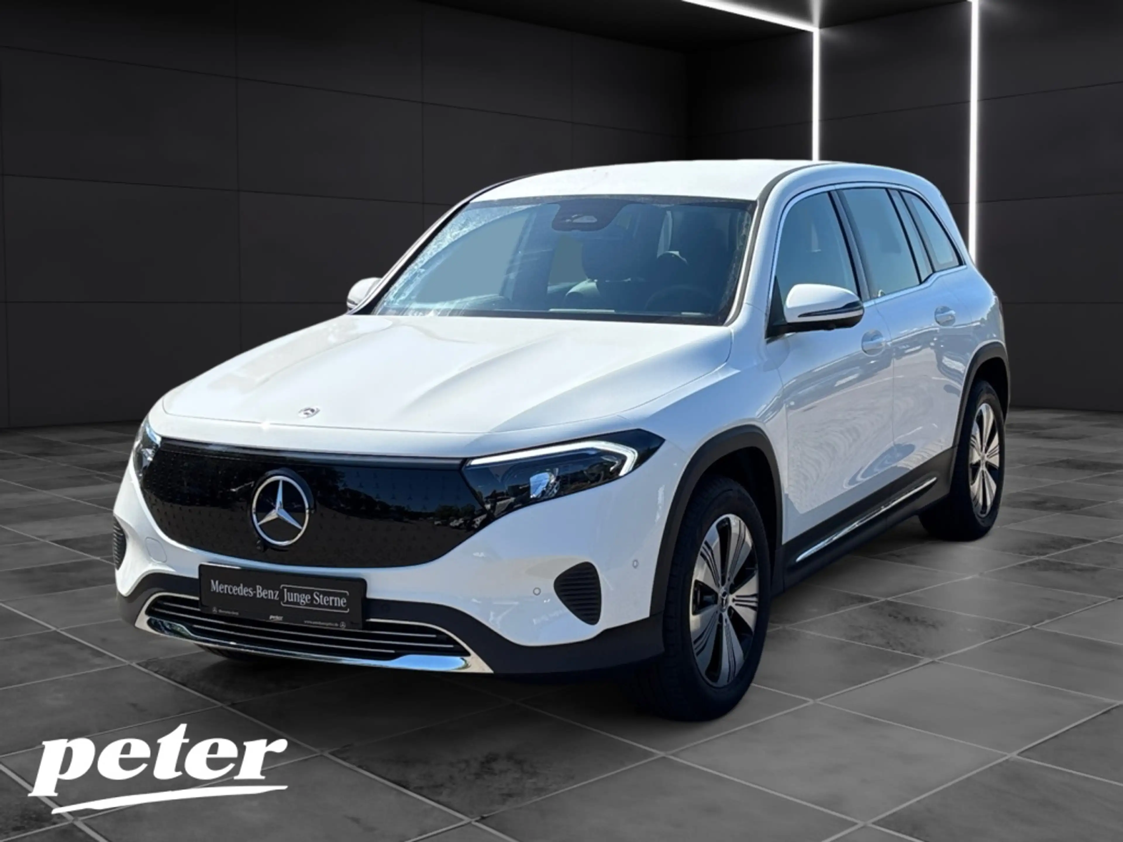 Mercedes-Benz EQB 250 + Progressive*Fahrassistenzpaket