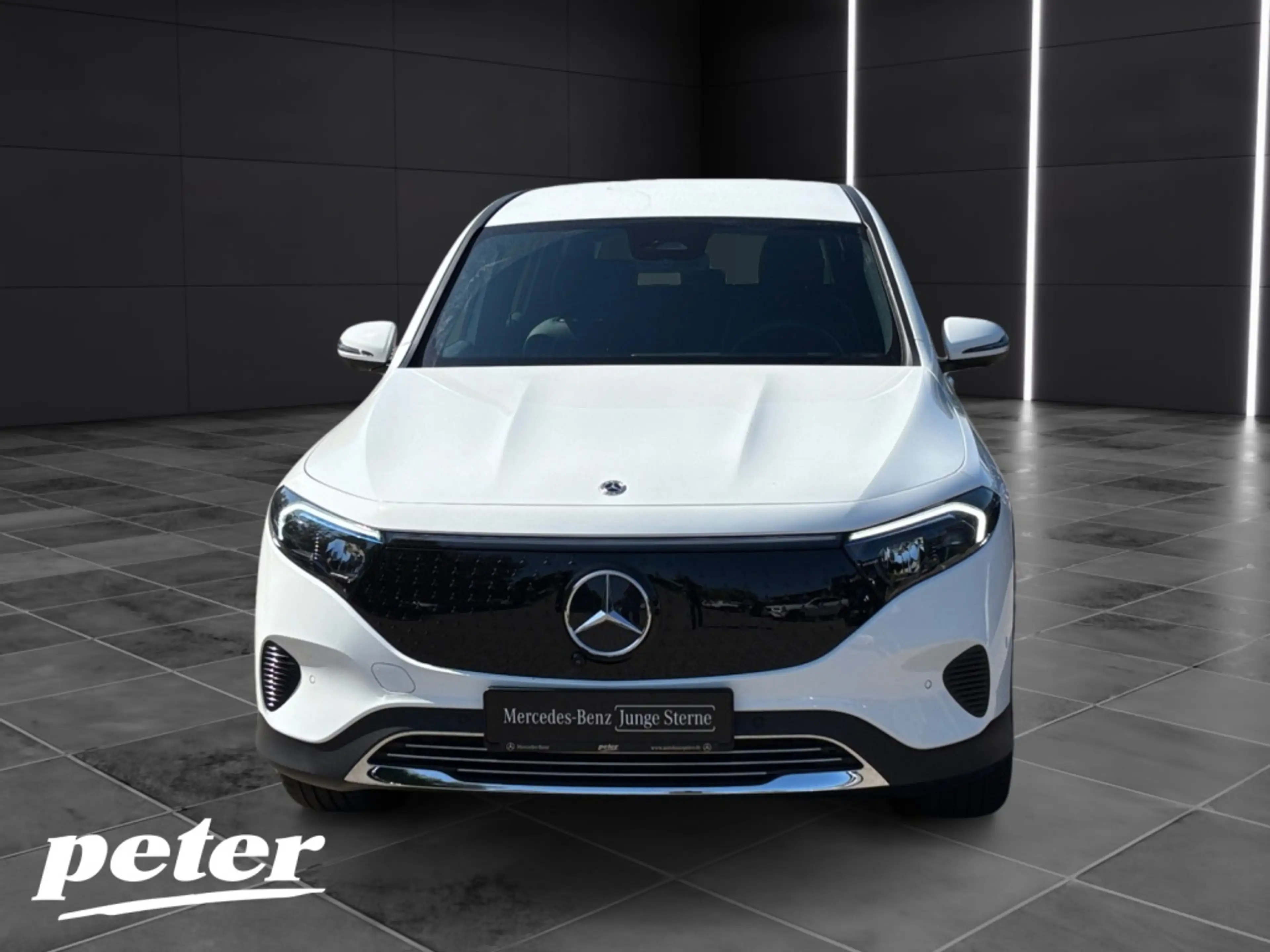 Mercedes-Benz EQB 250 + Progressive*Fahrassistenzpaket — photo 3