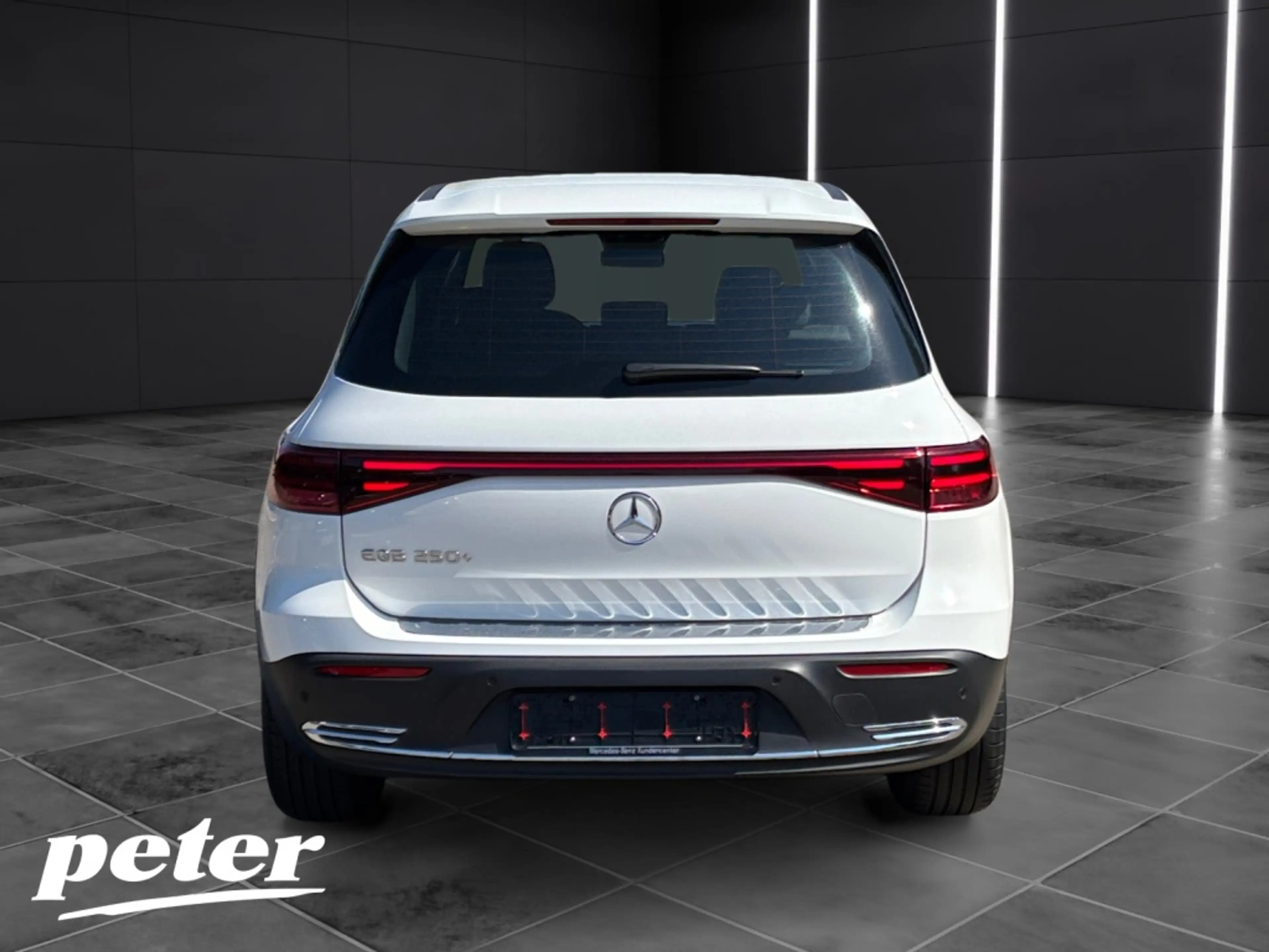 Mercedes-Benz EQB 250 + Progressive*Fahrassistenzpaket — photo 5