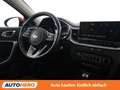 Kia Ceed / cee'd 1.5 TGDI Silber Rot - thumbnail 13