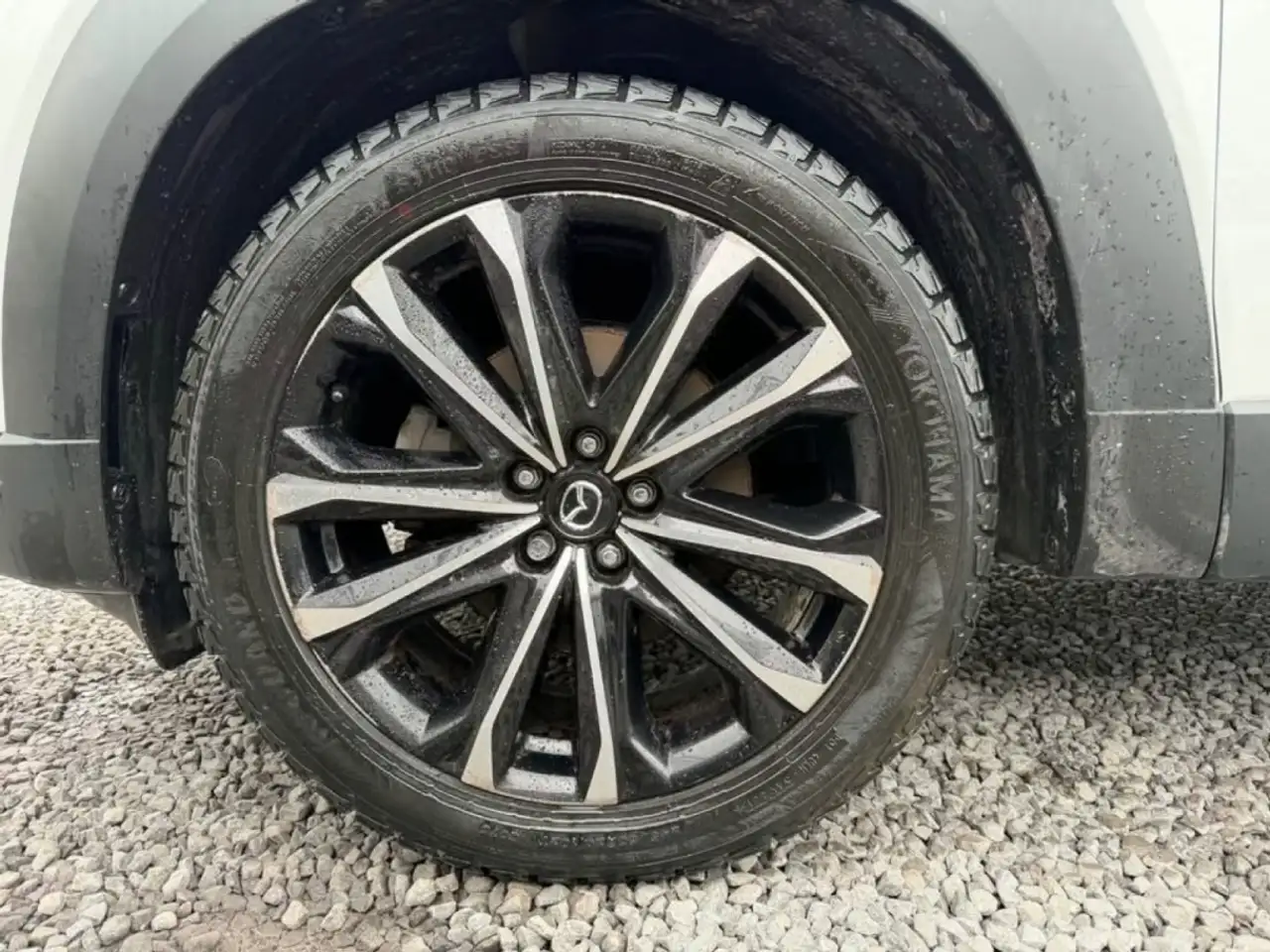 Mazda CX-50 снимка Mazda CX-50