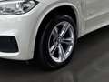 BMW X5 xDrive30d Aut.M Paket/Navi/Kamera/Panorama/AHK/SH Bianco - thumbnail 10