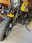 Ducati Scrambler icon yellow 800cc Giallo - thumbnail 4