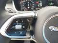 Jaguar I-Pace I-PACE EV320 Austria Edition PRIVATVERKAUF Gold - thumbnail 22