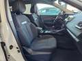 Renault Kadjar Kadjar 1.6 dci energy Zen 130cv Bianco - thumbnail 11