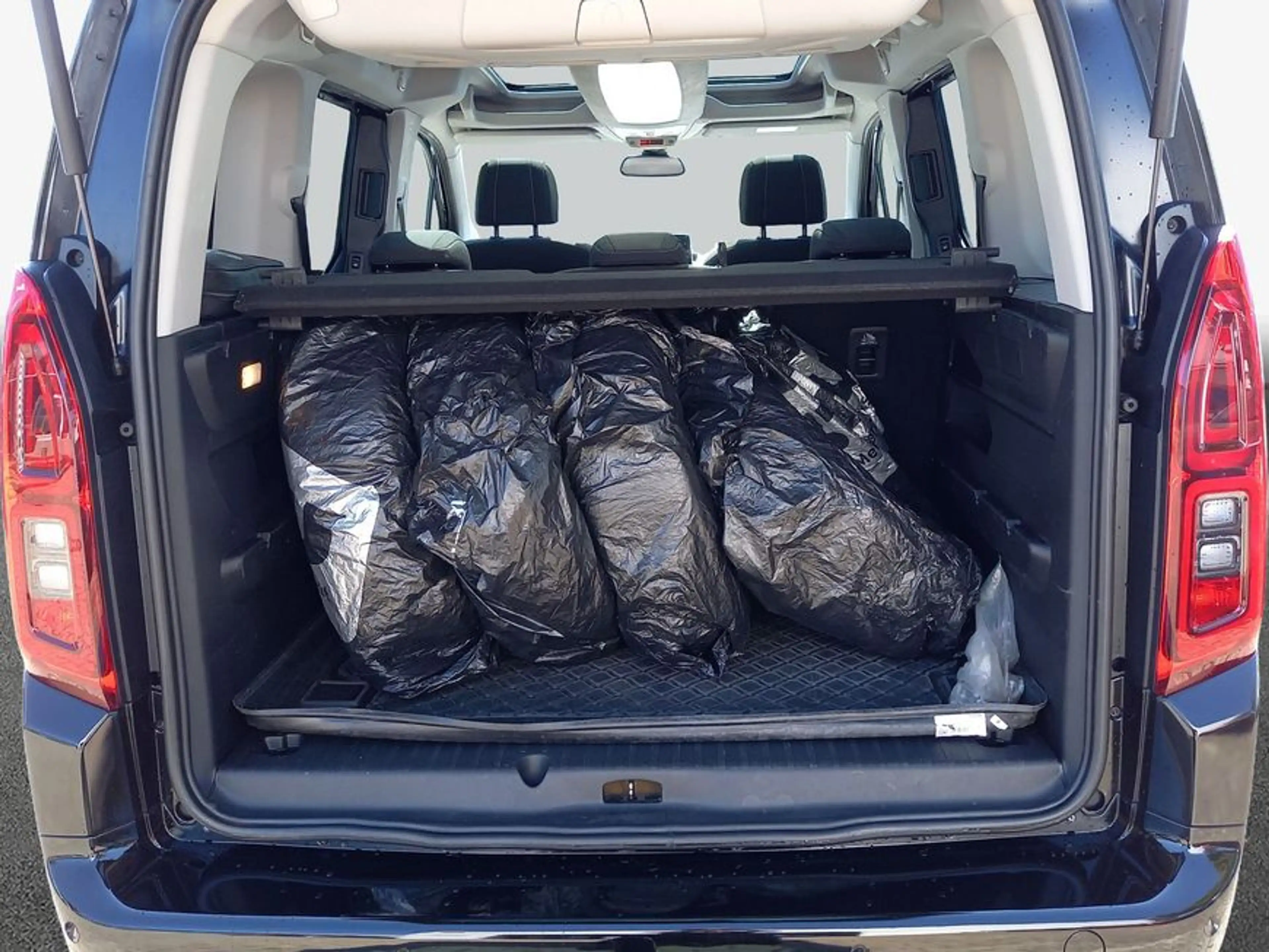 Toyota Proace City Proace City Verso 1.2 Turbo L1 Team Deutschland — photo 8