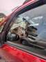 Suzuki SX4 1.6 ddis Outdoor Line 2wd - thumbnail 12