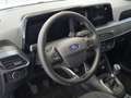 Ford Tourneo Courier 1.0 Ecoboost Active Gris - thumbnail 11