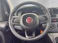 Fiat Panda MY25- Hybrid 1.0 PDC KLIMA ZV Schwarz - thumbnail 11