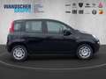 Fiat Panda MY25- Hybrid 1.0 PDC KLIMA ZV Schwarz - thumbnail 7