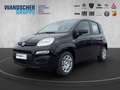 Fiat Panda MY25- Hybrid 1.0 PDC KLIMA ZV Schwarz - thumbnail 1