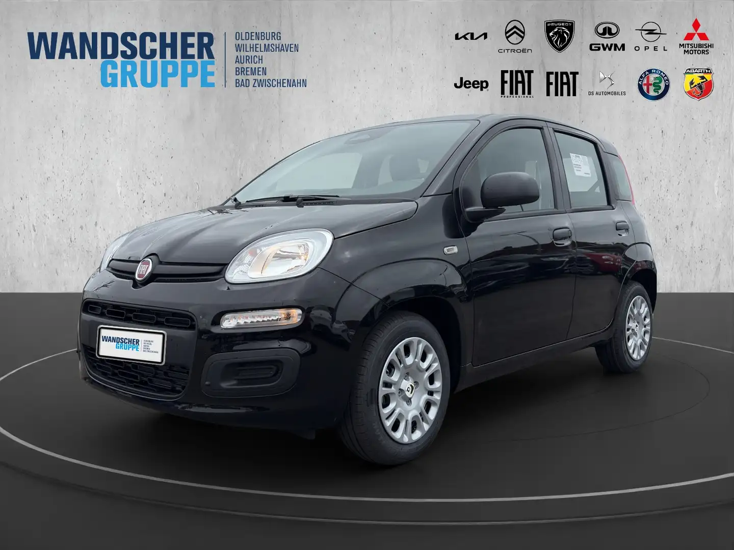 Fiat Panda MY25- Hybrid 1.0 PDC KLIMA ZV Schwarz - 1