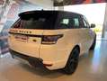Land Rover Range Rover Sport 3.0SDV6 HSE Dynamic 306 Aut. Blanc - thumbnail 9