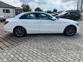 Mercedes-Benz C 180 C -Klasse Lim. C 180 CGI mit Schiebedach Weiß - thumbnail 6