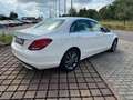 Mercedes-Benz C 180 C -Klasse Lim. C 180 CGI mit Schiebedach Weiß - thumbnail 5