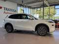 Geely Starray EM-i Starray EM-i MAX+PHEV 29,8kWh 136KM Voll Weiß - thumbnail 10