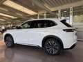 Geely Starray EM-i Starray EM-i MAX+PHEV 29,8kWh 136KM Voll Weiß - thumbnail 6
