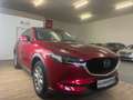 Mazda CX-5 CX-5 CD184 AWD Aut. Revolution Top "Leder weiss" Rot - thumbnail 22