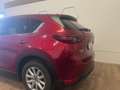 Mazda CX-5 CX-5 CD184 AWD Aut. Revolution Top "Leder weiss" Rot - thumbnail 5