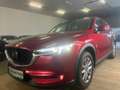 Mazda CX-5 CX-5 CD184 AWD Aut. Revolution Top "Leder weiss" Rot - thumbnail 10