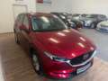 Mazda CX-5 CX-5 CD184 AWD Aut. Revolution Top "Leder weiss" Rot - thumbnail 19
