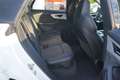 Audi SQ8 4.0 TFSI quattro Panorama Head-up B&O Matrix Weiß - thumbnail 9