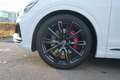 Audi SQ8 4.0 TFSI quattro Panorama Head-up B&O Matrix Weiß - thumbnail 18
