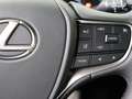 Lexus UX 250h Business Line | Apple Carplay & Android Auto | Par Wit - thumbnail 18