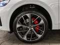 Audi Q5 55 TFSI e qu edit. one AHK HUD Pano Weiß - thumbnail 9