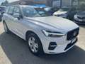 Volvo XC60 XC60 B4 (d) AWD Geartronic Business Wit - thumbnail 4