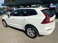 Volvo XC60 XC60 B4 (d) AWD Geartronic Business Wit - thumbnail 7