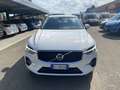 Volvo XC60 XC60 B4 (d) AWD Geartronic Business Wit - thumbnail 3