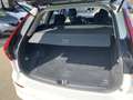 Volvo XC60 XC60 B4 (d) AWD Geartronic Business Wit - thumbnail 10