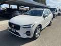 Volvo XC60 XC60 B4 (d) AWD Geartronic Business Wit - thumbnail 1