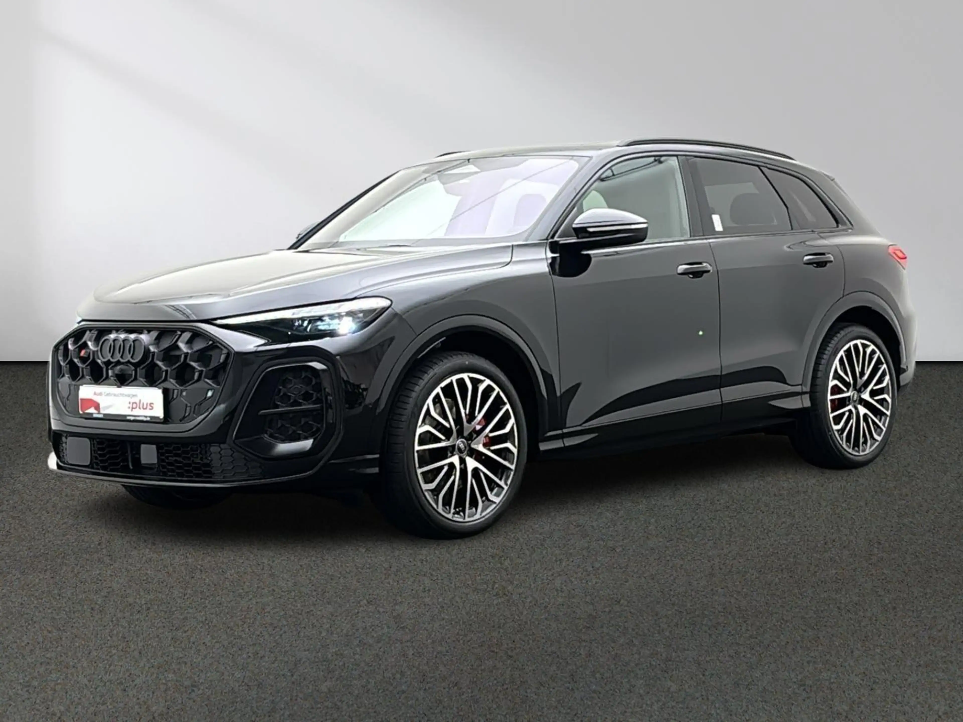 Audi SQ5 TFSI Tech pro Paket Panorama Navi Matrix-LED — photo 14