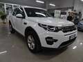 Land Rover Discovery Sport Discovery Sport 2.0 td4 Pure AWD 7 posti Wit - thumbnail 4